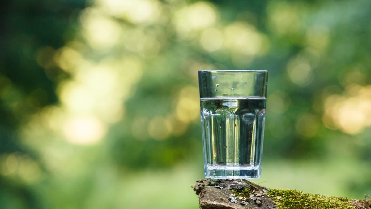A clear glass of water sits on the edge of a moss-covered wooden surface outdoors, with a softly blurred green and yellow background suggesting a forest or garden in sunlight.